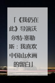 《我仍在此》导演沃尔特·塞勒斯：我喜欢中国山水画的留白