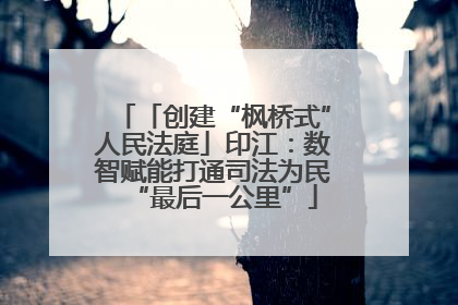 「创建“枫桥式”人民法庭」印江：数智赋能打通司法为民“最后一公里”