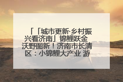 「城市更新·乡村振兴看济南」锦鲤跃金 沃野图新！济南市长清区：小锦鲤大产业 游出农旅新风景