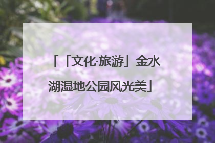 「文化·旅游」金水湖湿地公园风光美