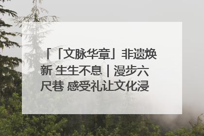 「文脉华章」非遗焕新 生生不息｜漫步六尺巷 感受礼让文化浸润的“巷”往生活