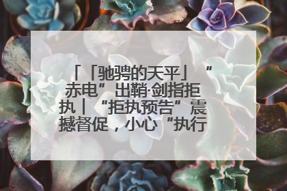 「驰骋的天平」“赤电”出鞘·剑指拒执︱“拒执预告”震撼督促，小心“执行”变“执刑”