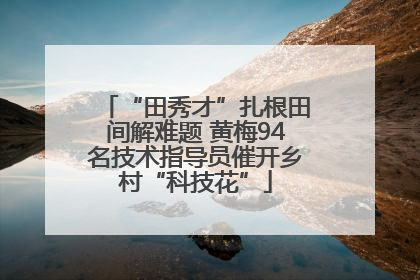 “田秀才”扎根田间解难题 黄梅94名技术指导员催开乡村“科技花”