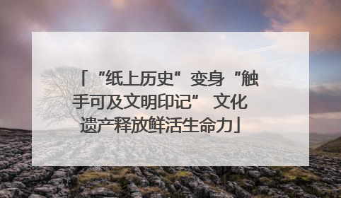 “纸上历史”变身“触手可及文明印记” 文化遗产释放鲜活生命力
