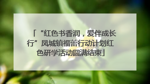 “红色书香润，爱伴成长行”凤城镇福蕾行动计划红色研学活动圆满结束