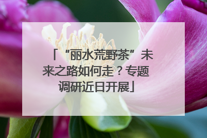 “丽水荒野茶”未来之路如何走？专题调研近日开展
