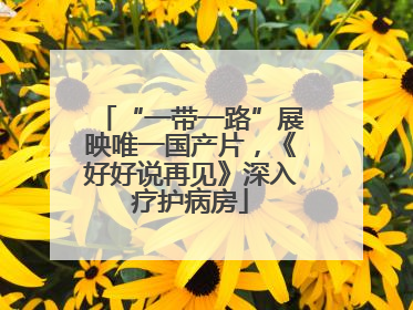 “一带一路”展映唯一国产片，《好好说再见》深入疗护病房