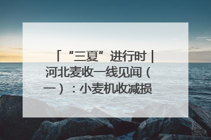 “三夏”进行时｜河北麦收一线见闻（一）：小麦机收减损“竞技” 农机高手麦田“过招”