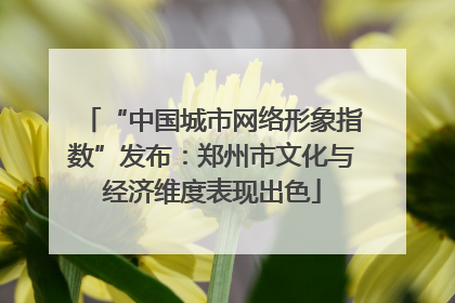 “中国城市网络形象指数”发布：郑州市文化与经济维度表现出色