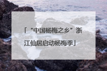“中国杨梅之乡”浙江仙居启动杨梅季