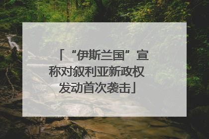 “伊斯兰国”宣称对叙利亚新政权发动首次袭击