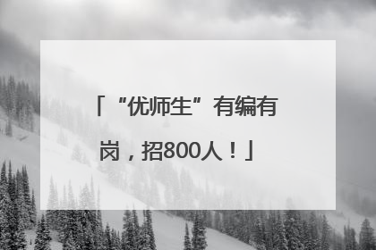 “优师生”有编有岗，招800人！