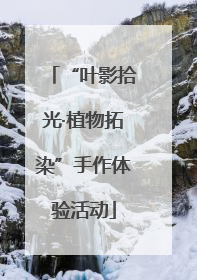 “叶影拾光·植物拓染”手作体验活动