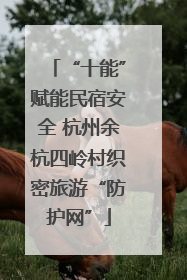“十能”赋能民宿安全 杭州余杭四岭村织密旅游“防护网”