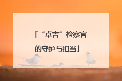 “卓吉”检察官的守护与担当