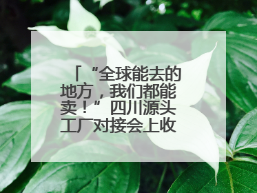 “全球能去的地方，我们都能卖！”四川源头工厂对接会上收获海量意向