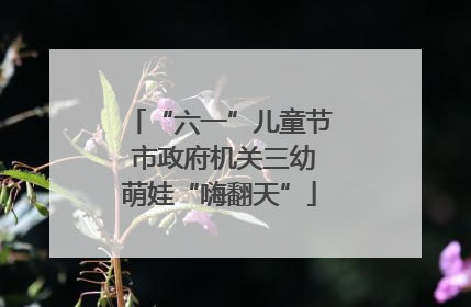 “六一”儿童节 市政府机关三幼萌娃“嗨翻天”