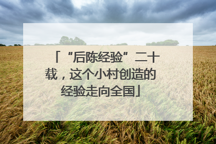 “后陈经验”二十载，这个小村创造的经验走向全国