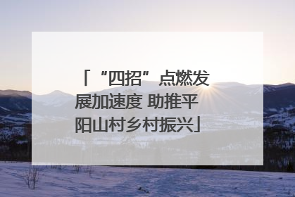 “四招”点燃发展加速度 助推平阳山村乡村振兴