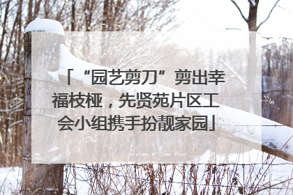 “园艺剪刀”剪出幸福枝桠，先贤苑片区工会小组携手扮靓家园