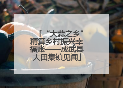 “大蒜之乡”精算乡村振兴幸福账——成武县大田集镇见闻