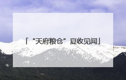 “天府粮仓”夏收见闻