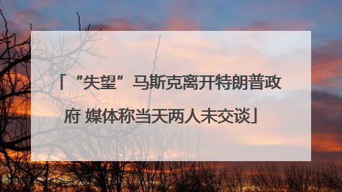 “失望”马斯克离开特朗普政府 媒体称当天两人未交谈