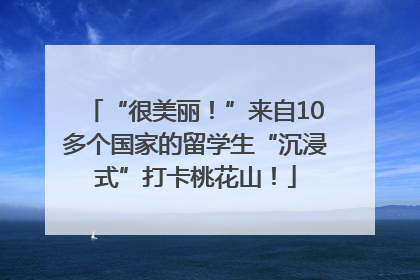 “很美丽！”来自10多个国家的留学生“沉浸式”打卡桃花山！