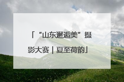 “山东邂逅美”摄影大赛｜夏至荷韵