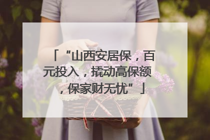 “山西安居保，百元投入，撬动高保额，保家财无忧”