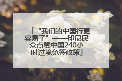 “我们的中国行更容易了”——印尼民众点赞中国240小时过境免签政策