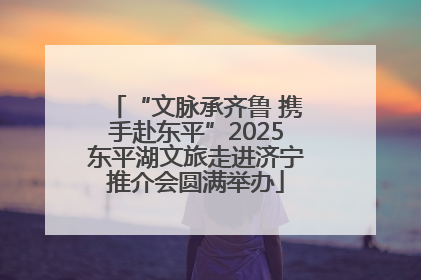 “文脉承齐鲁 携手赴东平”2025东平湖文旅走进济宁推介会圆满举办