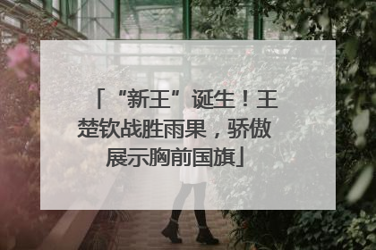 “新王”诞生！王楚钦战胜雨果，骄傲展示胸前国旗