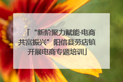 “新阶聚力赋能·电商共富振兴”阳信县劳店镇开展电商专题培训