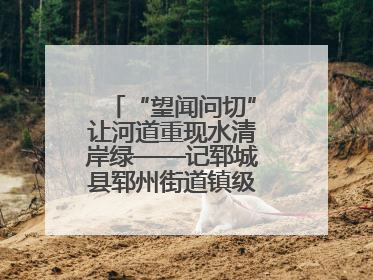 “望闻问切”让河道重现水清岸绿——记郓城县郓州街道镇级河长孟泓辰