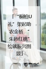 “桐柏U礼”架起助农金桥 “朱砂红桃”绘就振兴图景