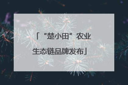 “楚小田”农业生态链品牌发布
