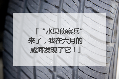 “水果侦察兵”来了，我在六月的威海发现了它！