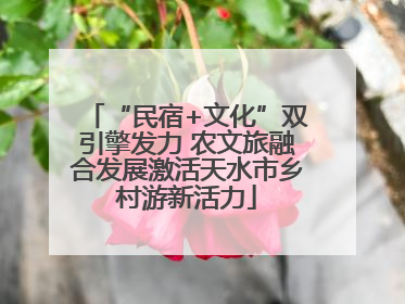 “民宿+文化”双引擎发力 农文旅融合发展激活天水市乡村游新活力