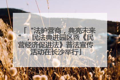 “法护营商，典亮未来”，民法典进园区暨《民营经济促进法》普法宣传活动在长沙举行