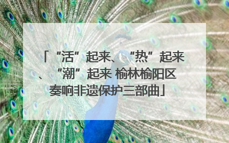 “活”起来、“热”起来、“潮”起来 榆林榆阳区奏响非遗保护三部曲