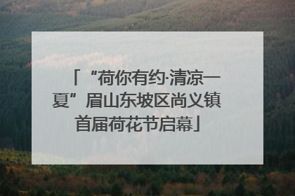 “荷你有约·清凉一夏”眉山东坡区尚义镇首届荷花节启幕