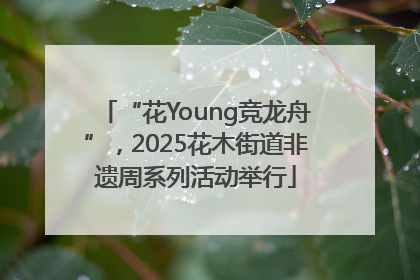 “花Young竞龙舟”，2025花木街道非遗周系列活动举行