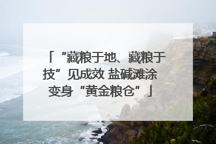 “藏粮于地、藏粮于技”见成效 盐碱滩涂变身“黄金粮仓”