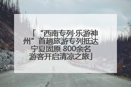 “西南专列·乐游神州”首趟旅游专列抵达宁夏固原 800余名游客开启清凉之旅