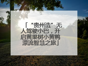 “贵州造”无人驾驶小巴，开启黄果树小黄鸭漂流智慧之旅