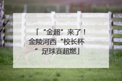 “金超”来了！金陵河西“校长杯”足球赛超燃