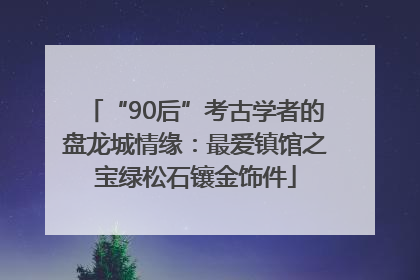 “90后”考古学者的盘龙城情缘：最爱镇馆之宝绿松石镶金饰件