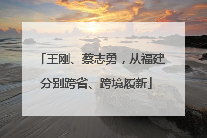 王刚、蔡志勇，从福建分别跨省、跨境履新