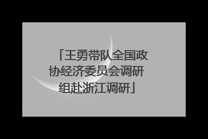 王勇带队全国政协经济委员会调研组赴浙江调研